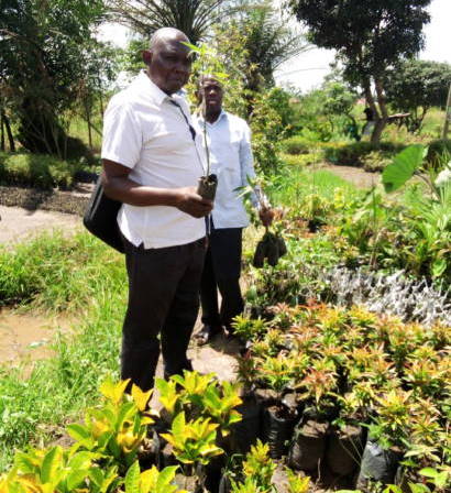 BUVAD’s FRUIT TREE PLANTING IN KAYUNGA